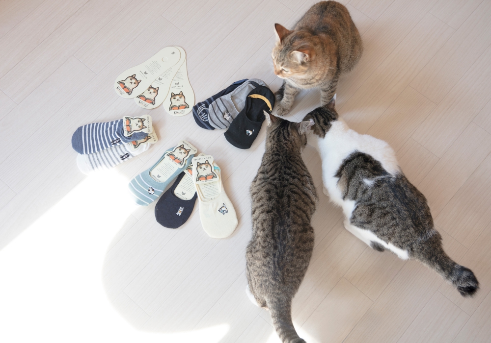 かわいく収納できちゃう♪