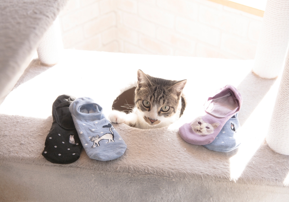 猫好きにはたまらない世界観