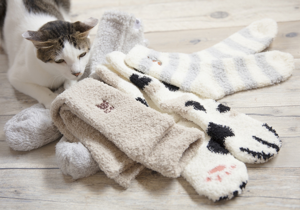 もこもこタッチに猫も癒される~