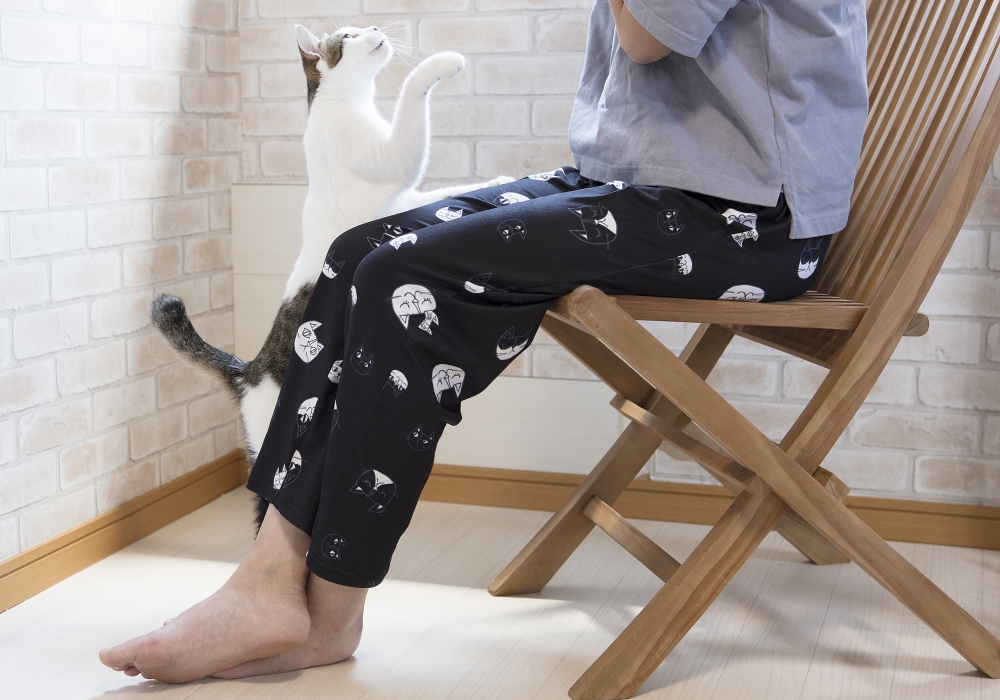 おうちで遊ぶときにも猫!ネコ!ねこ!
